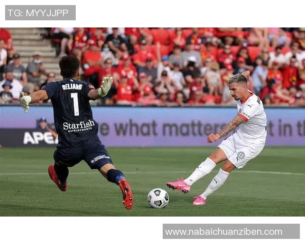 惠灵顿凤凰迎战波斯光荣争夺亚冠小组赛关键胜利